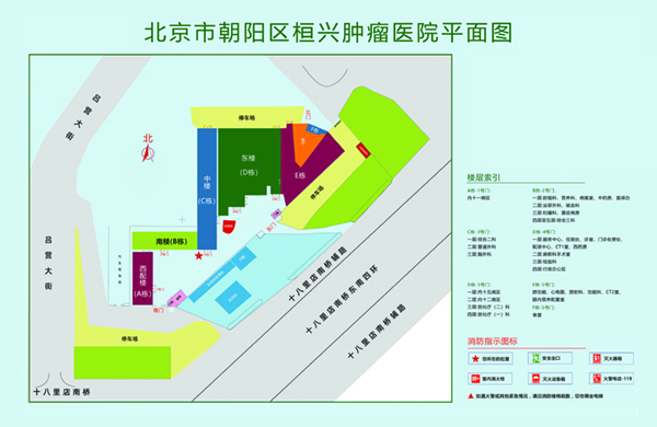 爆操老肥逼北京市朝阳区桓兴肿瘤医院平面图